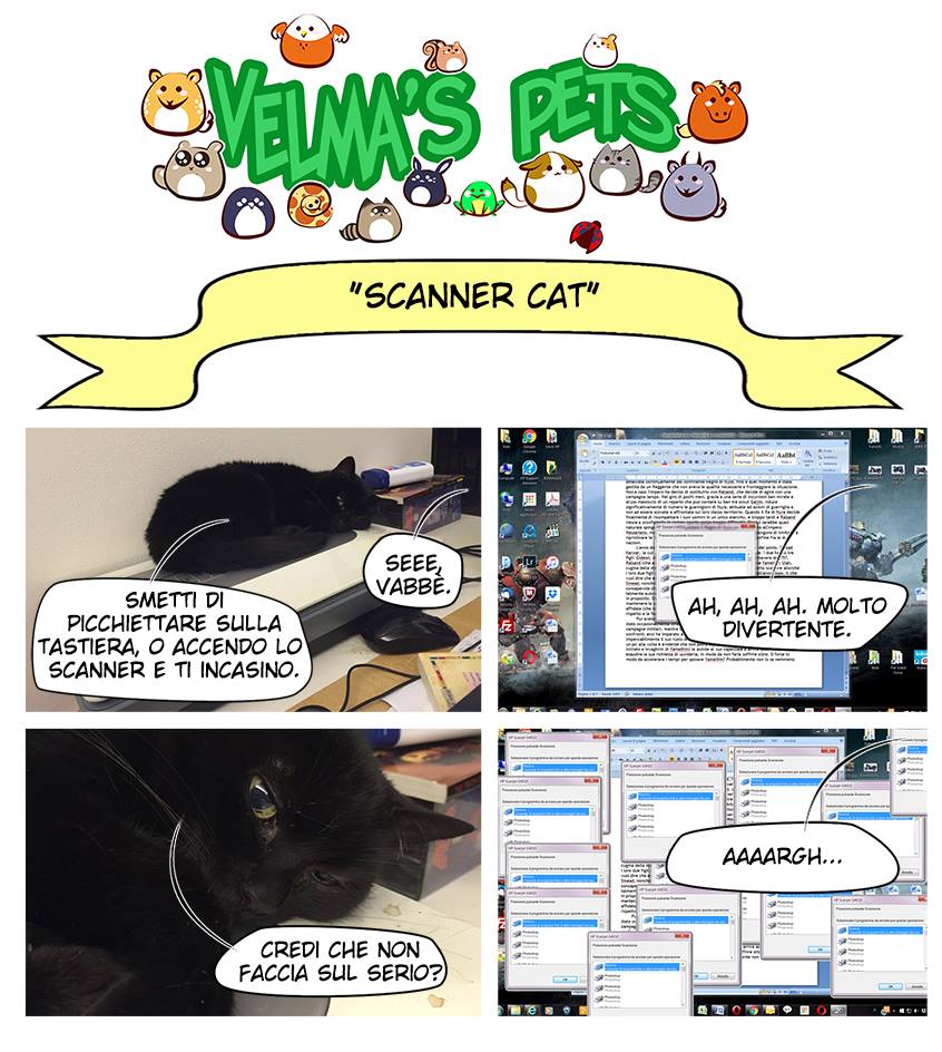 scanner_cat